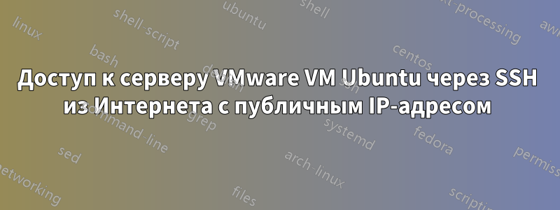 Доступ к серверу VMware VM Ubuntu через SSH из Интернета с публичным IP-адресом