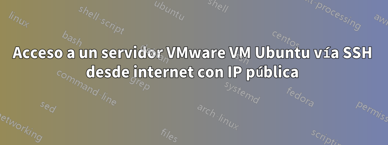 Acceso a un servidor VMware VM Ubuntu vía SSH desde internet con IP pública