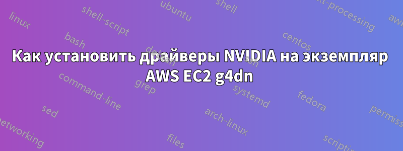 Как установить драйверы NVIDIA на экземпляр AWS EC2 g4dn