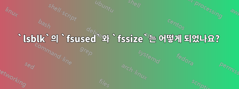`lsblk`의 `fsused`와 `fssize`는 어떻게 되었나요?