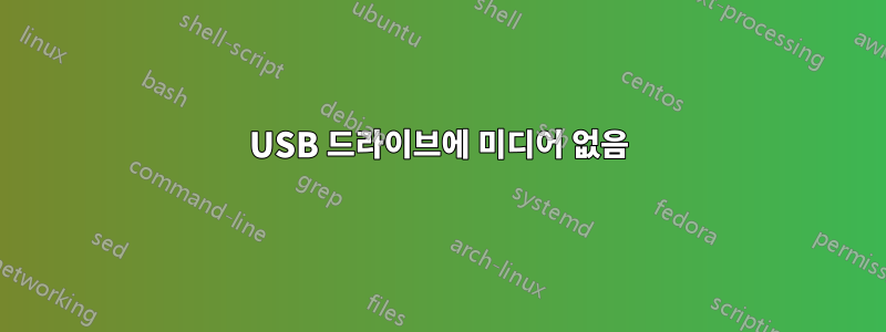 USB 드라이브에 미디어 없음