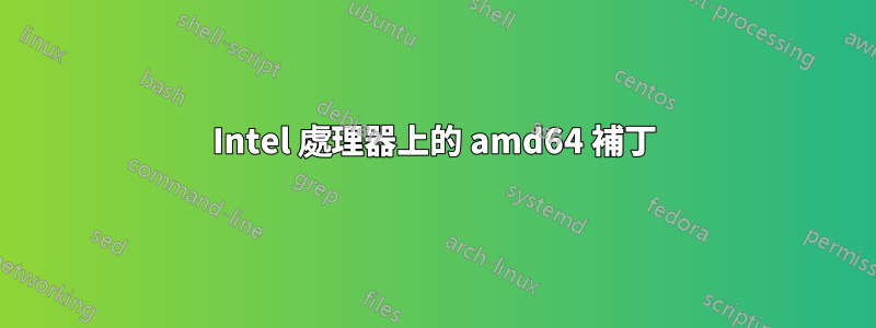 Intel 處理器上的 amd64 補丁