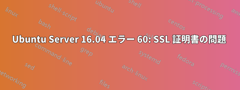 Ubuntu Server 16.04 エラー 60: SSL 証明書の問題