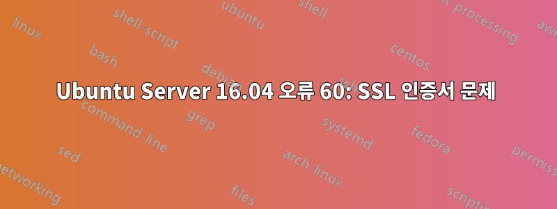 Ubuntu Server 16.04 오류 60: SSL 인증서 문제