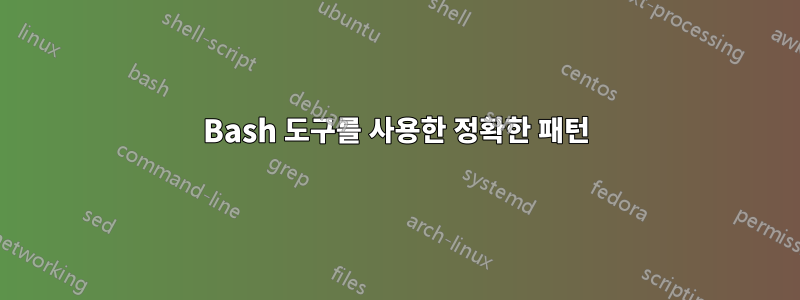 Bash 도구를 사용한 정확한 패턴