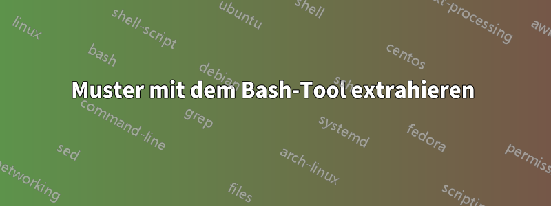 Muster mit dem Bash-Tool extrahieren