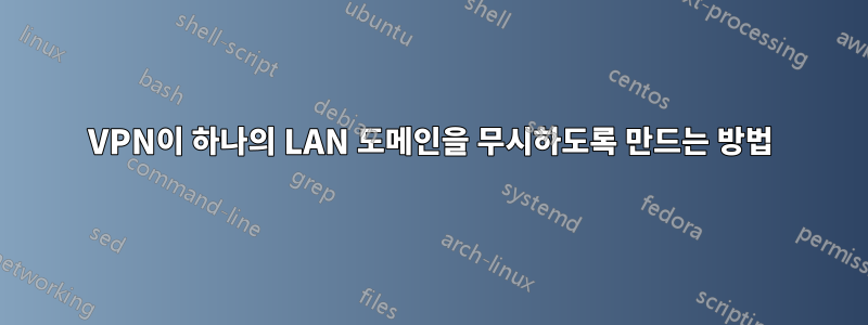 VPN이 하나의 LAN 도메인을 무시하도록 만드는 방법