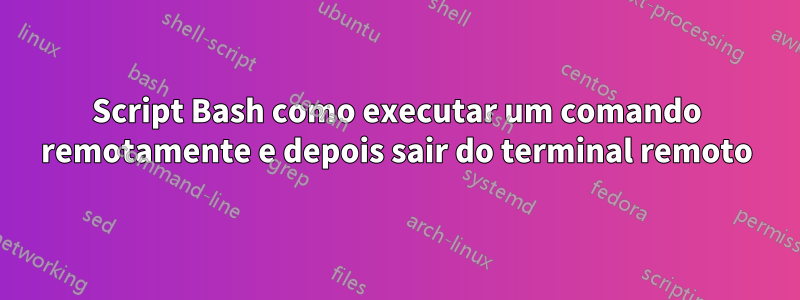 Script Bash como executar um comando remotamente e depois sair do terminal remoto