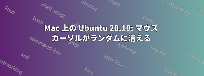 Mac 上の Ubuntu 20.10: マウス カーソルがランダムに消える