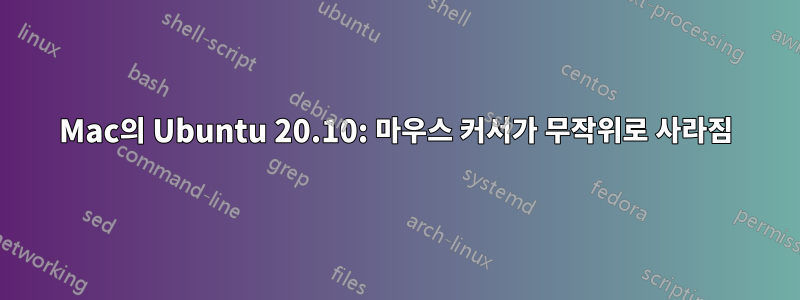 Mac의 Ubuntu 20.10: 마우스 커서가 무작위로 사라짐