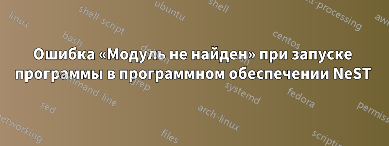 Ошибка «Модуль не найден» при запуске программы в программном обеспечении NeST