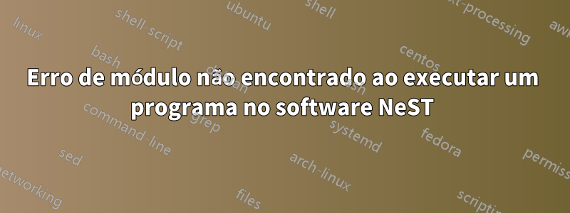 Erro de módulo não encontrado ao executar um programa no software NeST