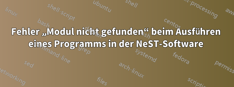 Fehler „Modul nicht gefunden“ beim Ausführen eines Programms in der NeST-Software