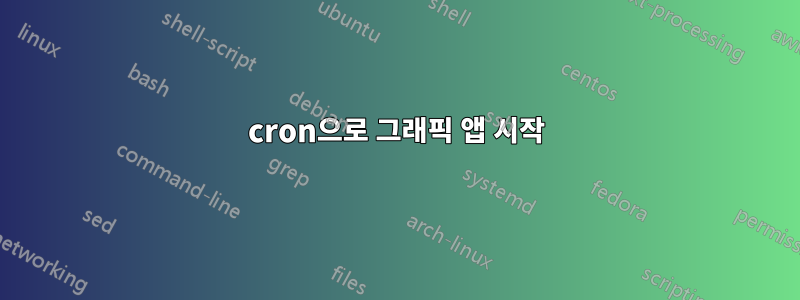 cron으로 그래픽 앱 시작