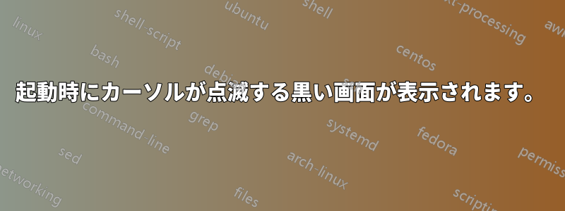 起動時にカーソルが点滅する黒い画面が表示されます。