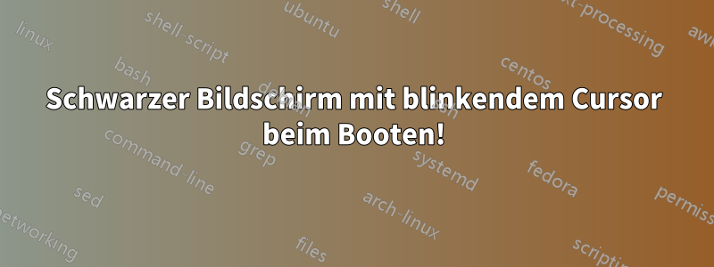 Schwarzer Bildschirm mit blinkendem Cursor beim Booten!