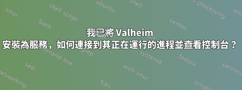 我已將 Valheim 安裝為服務，如何連接到其正在運行的進程並查看控制台？