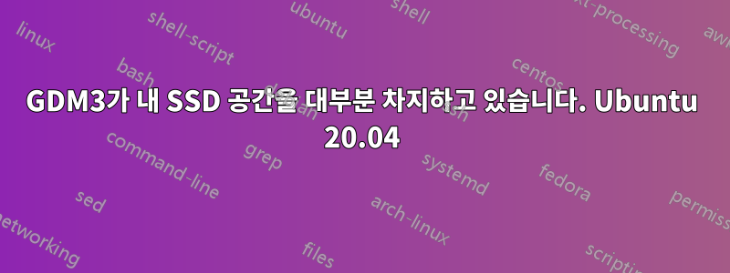 GDM3가 내 SSD 공간을 대부분 차지하고 있습니다. Ubuntu 20.04