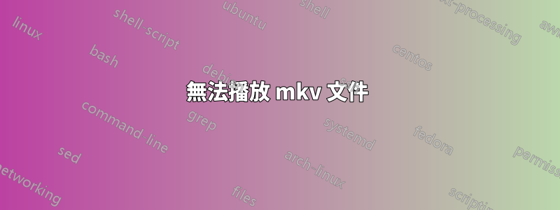 無法播放 mkv 文件