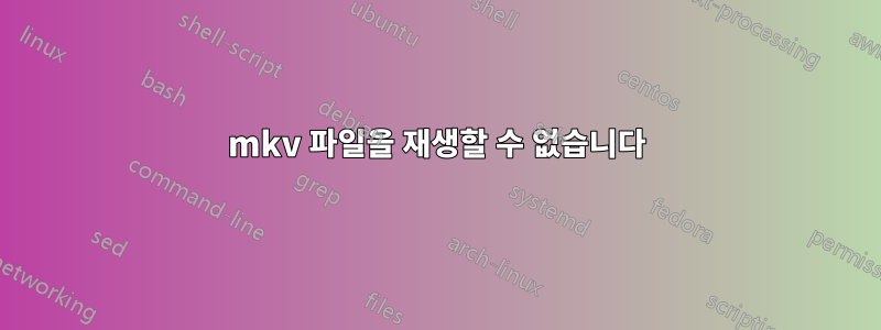 mkv 파일을 재생할 수 없습니다