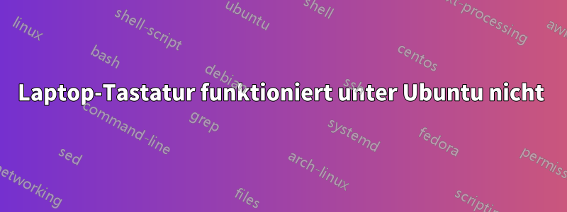 Laptop-Tastatur funktioniert unter Ubuntu nicht