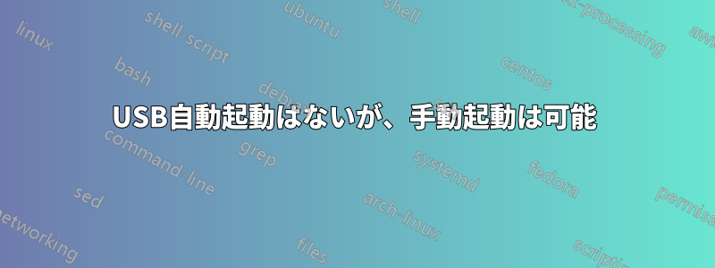 USB自動起動はないが、手動起動は可能