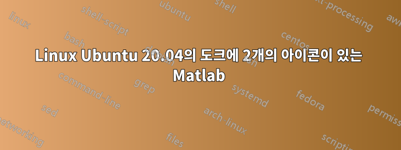 Linux Ubuntu 20.04의 도크에 2개의 아이콘이 있는 Matlab