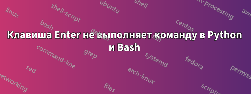 Клавиша Enter не выполняет команду в Python и Bash