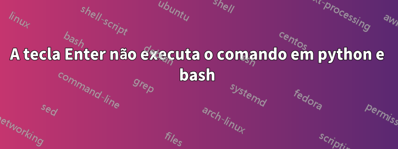 A tecla Enter não executa o comando em python e bash