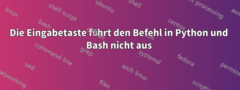 Die Eingabetaste führt den Befehl in Python und Bash nicht aus