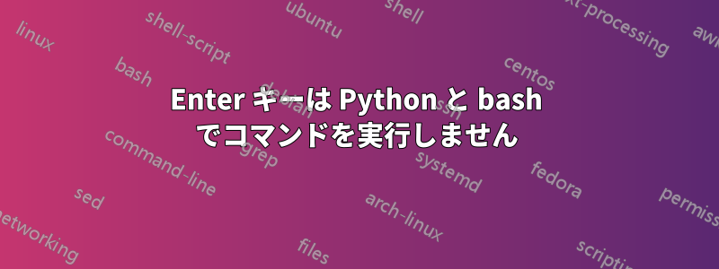 Enter キーは Python と bash でコマンドを実行しません