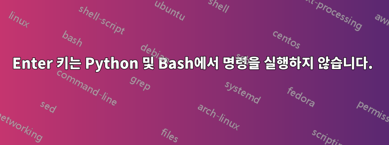 Enter 키는 Python 및 Bash에서 명령을 실행하지 않습니다.