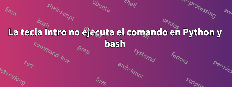 La tecla Intro no ejecuta el comando en Python y bash