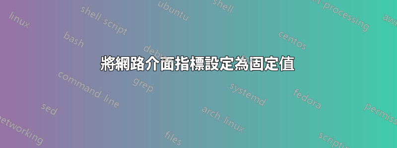 將網路介面指標設定為固定值