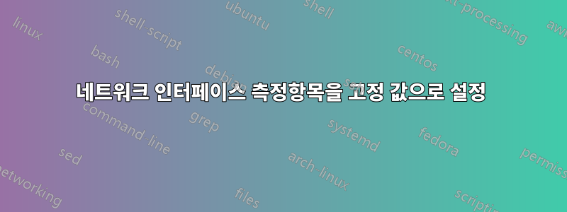 네트워크 인터페이스 측정항목을 고정 값으로 설정