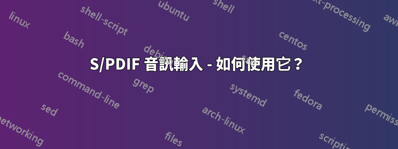S/PDIF 音訊輸入 - 如何使用它？