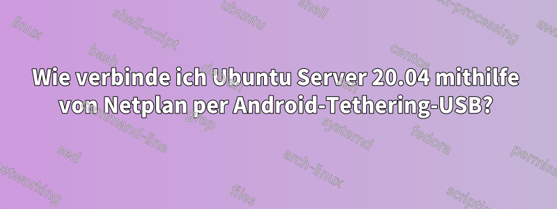 Wie verbinde ich Ubuntu Server 20.04 mithilfe von Netplan per Android-Tethering-USB?