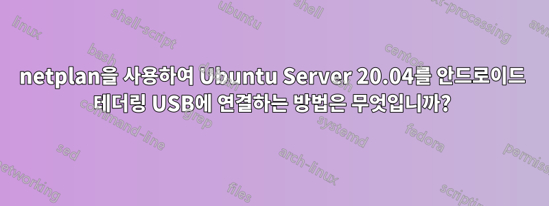 netplan을 사용하여 Ubuntu Server 20.04를 안드로이드 테더링 USB에 연결하는 방법은 무엇입니까?