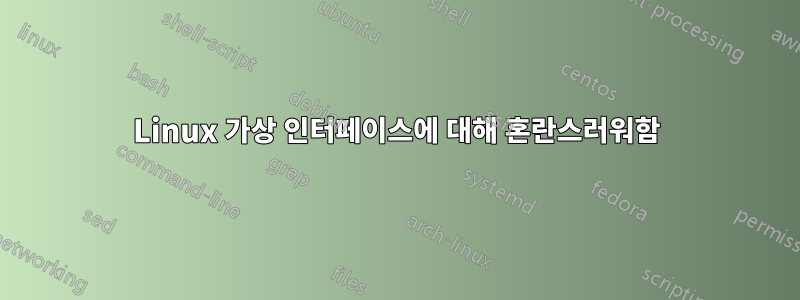 Linux 가상 인터페이스에 대해 혼란스러워함