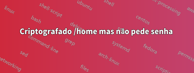 Criptografado /home mas não pede senha