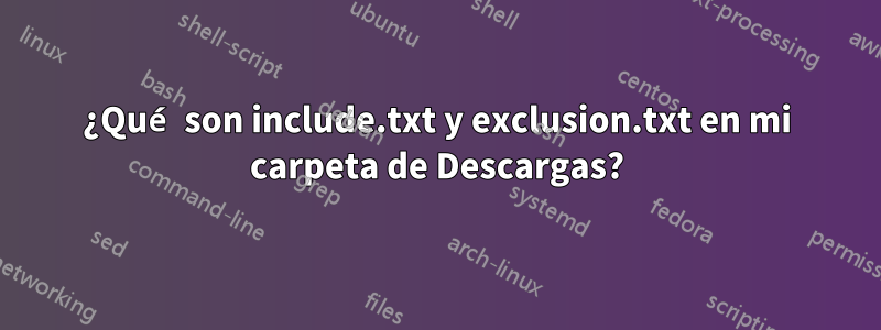 ¿Qué son include.txt y exclusion.txt en mi carpeta de Descargas?