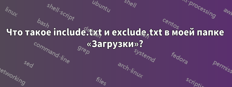 Что такое include.txt и exclude.txt в моей папке «Загрузки»?