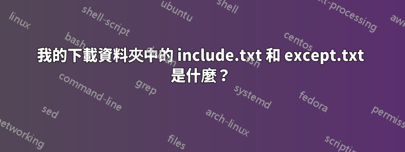 我的下載資料夾中的 include.txt 和 except.txt 是什麼？