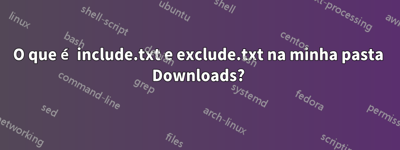 O que é include.txt e exclude.txt na minha pasta Downloads?