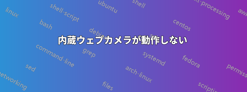 内蔵ウェブカメラが動作しない