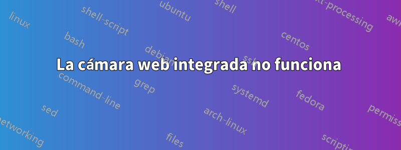 La cámara web integrada no funciona