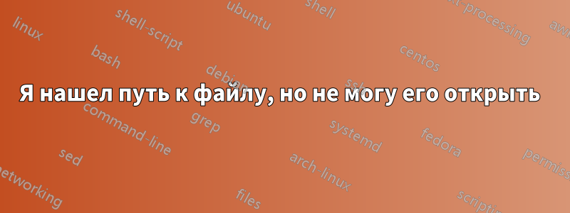 Я нашел путь к файлу, но не могу его открыть 