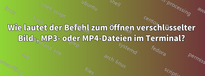 Wie lautet der Befehl zum Öffnen verschlüsselter Bild-, MP3- oder MP4-Dateien im Terminal?