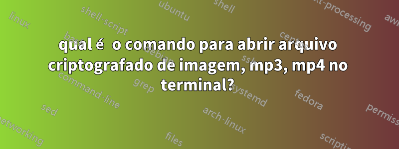 qual é o comando para abrir arquivo criptografado de imagem, mp3, mp4 no terminal?