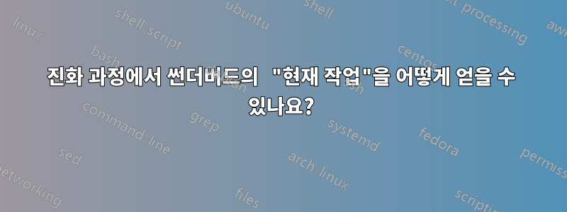 진화 과정에서 썬더버드의 "현재 작업"을 어떻게 얻을 수 있나요?